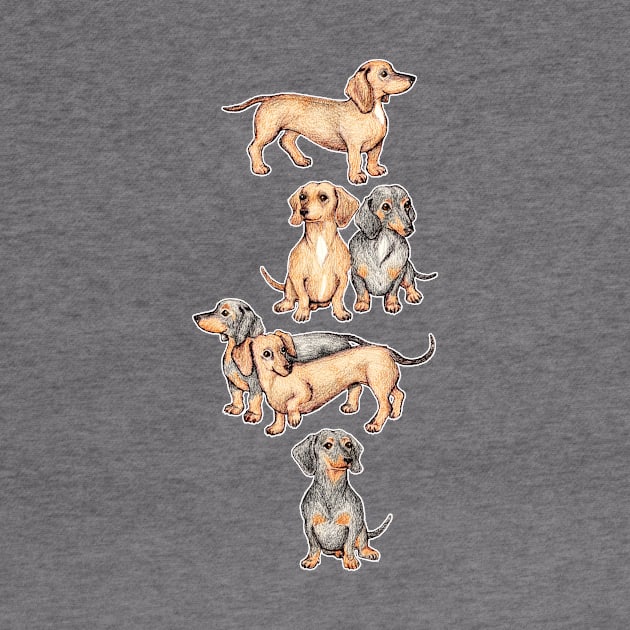 Adorable Dachshunds by micklyn